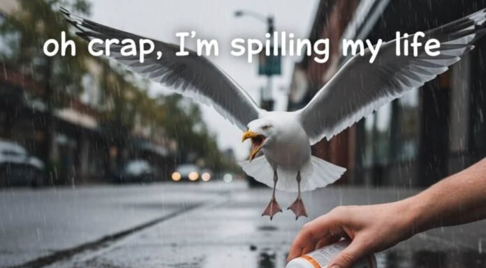 The Ultimate Guide to Vitamins and Minerals After 50 Seagull attacks spilled vitamins on rainy Seattle street.