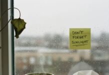 How to Build a Daily Routine That Prevents Illness? Rainy window, tea, tissue, and a reminder.