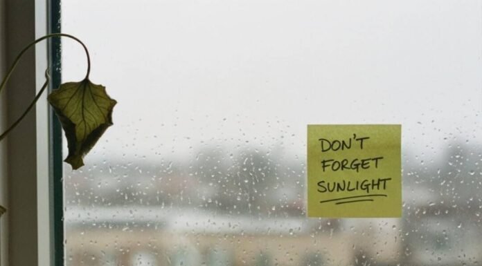 How to Build a Daily Routine That Prevents Illness? Rainy window, tea, tissue, and a reminder.